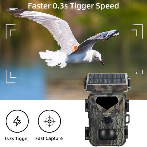Trail Camera with Detailed Images, IR Night, Tracking Moving Targets, Hunting Camera for Wildlife Monitoring Indoor Outdoor Usage. in Saudi Arabia