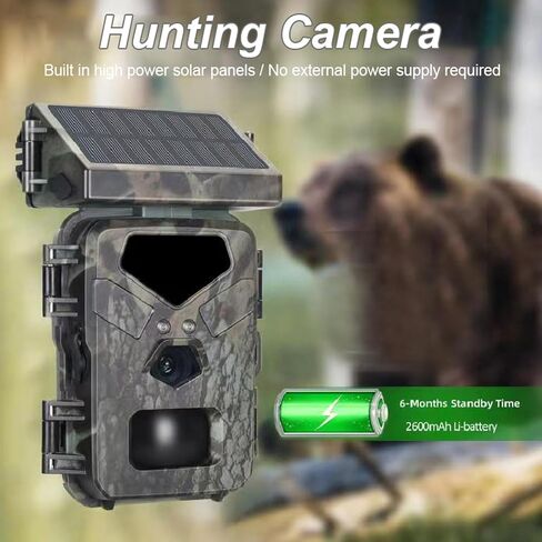 Trail Camera with Detailed Images, IR Night, Tracking Moving Targets, Hunting Camera for Wildlife Monitoring Indoor Outdoor Usage. in Saudi Arabia