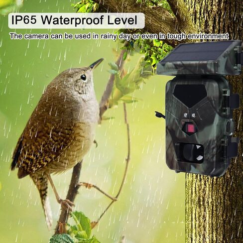Trail Camera with Detailed Images, IR Night, Tracking Moving Targets, Hunting Camera for Wildlife Monitoring Indoor Outdoor Usage. in Saudi Arabia