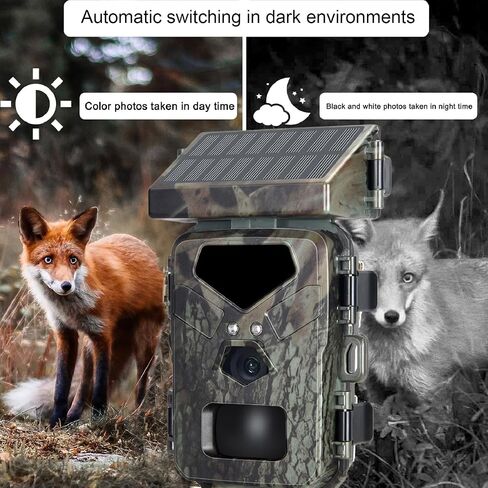 Trail Camera with Detailed Images, IR Night, Tracking Moving Targets, Hunting Camera for Wildlife Monitoring Indoor Outdoor Usage. in Saudi Arabia