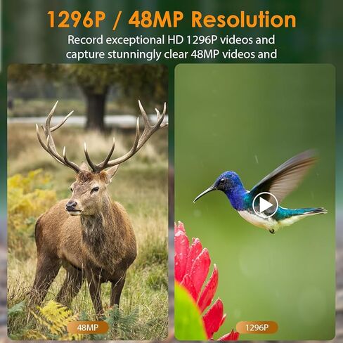 BLAZEVIDEO 2-Pack 48MP 1296P Trail Cameras Night Vision No Glow H.264 فيديو الحركة المنشط 0.1S وقت الزناد مقاوم للماء لصيد الحياة البرية في الهواء الطلق ومراقبة أمن المنزل in Kuwait