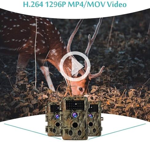 BLAZEVIDEO 2-Pack 48MP 1296P Trail Cameras Night Vision No Glow H.264 فيديو الحركة المنشط 0.1S وقت الزناد مقاوم للماء لصيد الحياة البرية في الهواء الطلق ومراقبة أمن المنزل in Kuwait