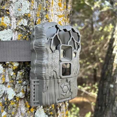 كاميرا Stealth Cam بدقة 24 ميجابكسل - عبوتان in Kuwait