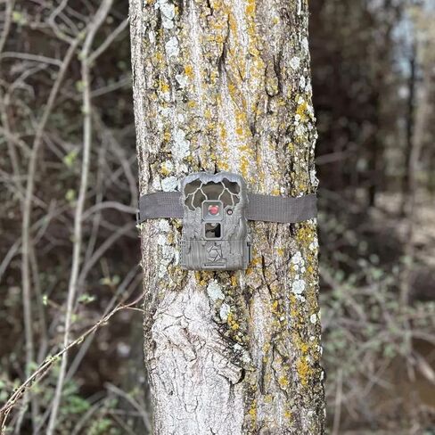 كاميرا Stealth Cam بدقة 24 ميجابكسل - عبوتان in Kuwait