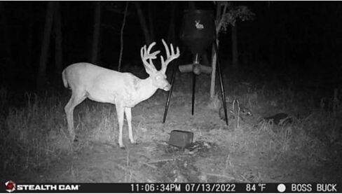 كاميرا Stealth Cam بدقة 24 ميجابكسل - عبوتان in Kuwait