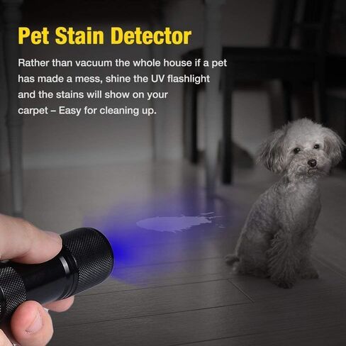 UV LED Flashlight Black Light UV Lights 9 LED Ultraviolet Blacklight Flashlights Pets Urine and Stains Detector on Clothes Carpet Rugs (2 Pack) in Saudi Arabia