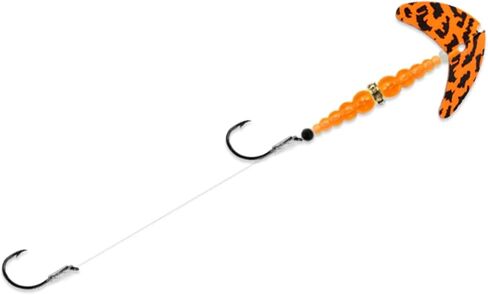 Mack's Lure Double Whammy® Walleye in Saudi Arabia