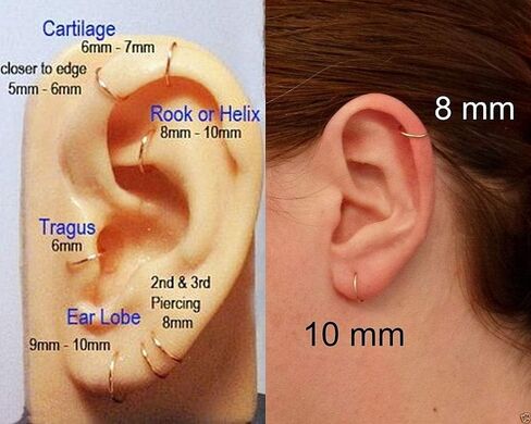 NewZenro 5Pairs Surgical Stainless Steel 16G Sleeper Cartilage Daith Tiny Small Hoop Earrings Mini Septum Hinged Clicker Nose Ring Helix Tragus Piercings Unisex Fashion Huggie Hoops Set 6-14MM in Saudi Arabia