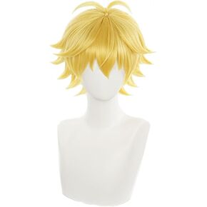 COSPLAZA Cosplay Wig Short Silver White Fluffy male anime show Halloween party Hair Wigs
