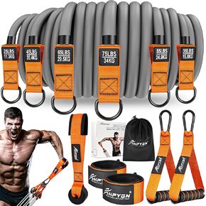 HPYGN Resistance Bands for Working Out, 300lbs 360lbs Heavy Fitness Bands Resistance Men, Exercise Bands with Handles, Door Anchor, Weight Workout Band Set for Strength Training, Home Gym Equipment