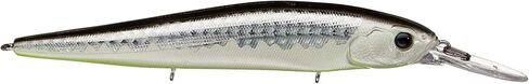13 FISHING - Loco Special - Jerkbaits in Saudi Arabia