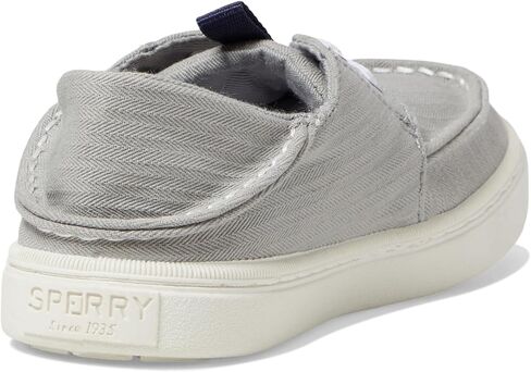 دانتيل خارجي للأولاد من Sperry قابل للغسل (طفل صغير/طفل كبير) رمادي 6 طفل كبير M in Kuwait