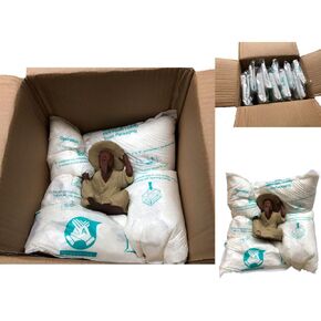Foam Bag For Shipping 14"" x 16"", PACK of 10 Handy Foam expanding foam packaging Bags, expanding packing foam for pc etc,. - Packing and Shipping Solution (pack of 10), White, Petsmya-2401