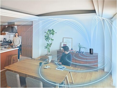 مكبر صوت لاسلكي سوني SRS-RA3000 360 Reality Audio واي فاي / بلوتوث، يعمل مع Alexa وGoogle Assistant، رمادي فاتح in Saudi Arabia