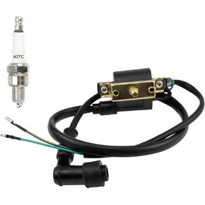 HIAORS Ignition Coil for Coolster 125cc 3050B ATV-3050B 3050 B3050A 110cc Kids 4 Quad Four Wheeler Roketa Baja Kazuma Meerkat 50cc Falcom 110cc 70cc Chinese Quad ATV Dirt Bike