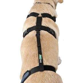 Ortocanis Dog Knee Brace for Torn Acl Hind Leg - Lumbar Connection Belt for Dogs with Sloping HIPS - Acl Brace Dog - Knee Belt - Cruciate Ligament Brace for Dogs Hind Leg Size L
