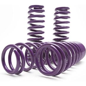 D2 Lowering Springs Kit - Suspension Lowering Kit - Durable Lowering Springs - Adjustable Lowering Springs for Honda Civic 2016-2024 Honda Civic & 2017-2024 Civic Si - Performance Suspension Springs