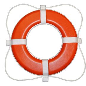 Taylor Made 364 Life Ring Buoy, Orange, 24"