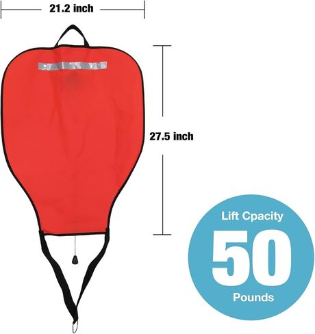 ELFGO Diving D Ring Belt Buckle Back Fly Side Hanging Positioning Buckle Hunting Diving Fish String D Word Buckle 316 Stainless Steel 5 CM Wide in Kuwait