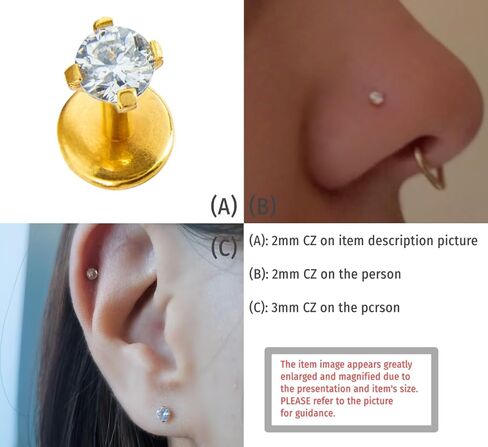 زوج 20 مقياس 8 مم أو 6 مم (طول العمود) مع Prong CZ THREADLESS (دفع خلفي)، فولاذ جراحي (خالي من النيكل)، غضروف، مونرو، وحلقة أنف in Saudi Arabia