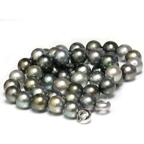 Tahitian South Sea Pearl Opera Necklace 15-16 mm AAA Multi Color 35" 18K Solid Gold Clasp