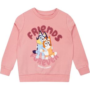 Bluey Sweater | Girls Sweatshirts | Bingo Sweatshirts For Girls
