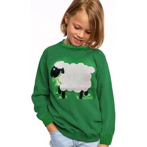 Ireland Green Long Sleeve Sheep Jumper for Kids