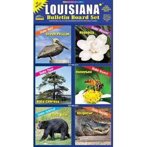Gallopade Publishing Group Lousiana Bulletin Board Set (9780635011190)