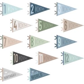 14 Pcs Baby Milestone Pennant Signs Monthly Milestone Banner Flags Pennant Triangle Banner Age Flag Signs for Boy Girl Newborn Birthday Party Decor(Assorted Colors)