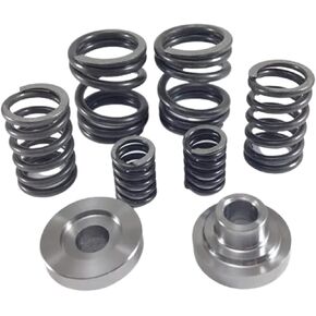P7100 Injection Pump 3K/4K Governor Springs 94-98 fits 12V Cummins 5.9L - NEW