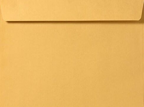 LUXPaper Booklet Envelopes | 9 1/2" x 12 5/8" | Brown Kraft | 28lb. Text | 50 Qty in Saudi Arabia
