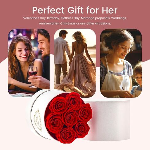 Preserved Roses in a Box Long Lasting Roses Last a Year Forever Romantic Gifts for Her Mother's Day Valentine's Day Anniversary Birthday (Round White Box, 7 Red Roses) in Saudi Arabia