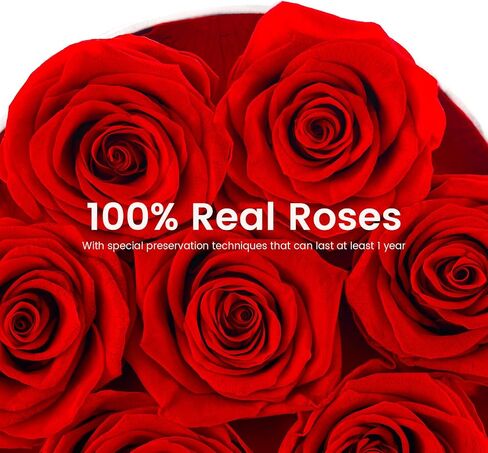 Preserved Roses in a Box Long Lasting Roses Last a Year Forever Romantic Gifts for Her Mother's Day Valentine's Day Anniversary Birthday (Round White Box, 7 Red Roses) in Saudi Arabia