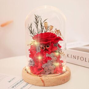 Rose in Glass Dome with LED Light, Preserved Flower Rose Gifts for Her Women Girlfriend Wife Friend, Handmade Long Lasting Real Roses Gifts for Birthday, Xmas, Wedding, Anniversary