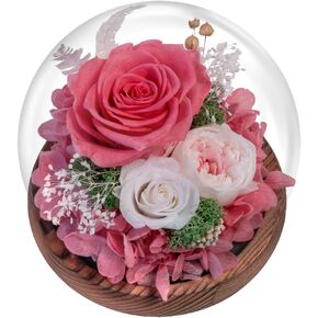 Pink Roses Preserved Flower in Glass Dome - Real Rose Gift for Her - Forever Gift for Valentines Day, Mothers Day, Birthday, Anniversary, Wedding, Thanksgiving (Pink)