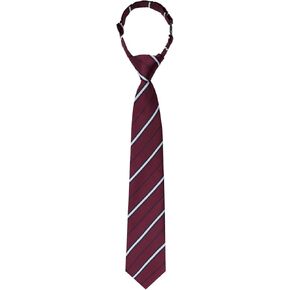 Ties for Boys Kids, Pre-Tied Clip on Tie Stripe Neckties for School Uniforms Graduation Wedding Parties Cosplay Causal