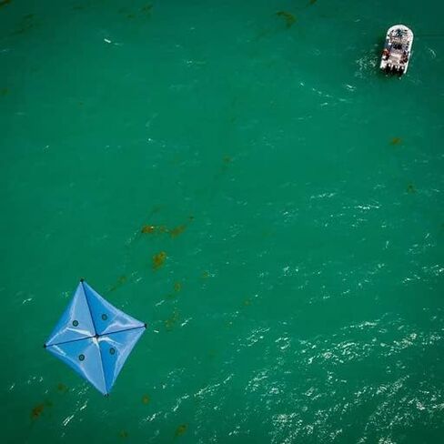 Tigress Fishing Kite, Sturdy Offshore Fishing Kite Constructed of 100% Carbon Graphite, Includes Extra 5th Spar in Kuwait