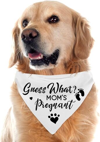 Mom&Dad are Getting me a Human, Dog Pregnancy Announcement Bandana, Pet Accessories for Dog Lovers, Gender Reveal Photo Prop Pet Scarf, Pack of 2 in Kuwait
