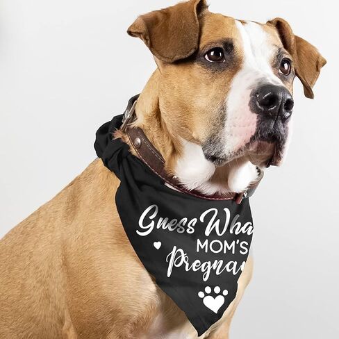 Mom&Dad are Getting me a Human, Dog Pregnancy Announcement Bandana, Pet Accessories for Dog Lovers, Gender Reveal Photo Prop Pet Scarf, Pack of 2 in Kuwait