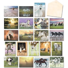 Leanin' Tree, Horse Country, Greeting Cards Assortment Box All Occasion with Inside Message and Blank Cards (20 Assorted Cards, 22 Colorful Envelopes)