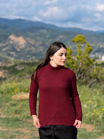 Zeagoo Womens Knit Blouse Long Sleeve Pullover Shirt Tops Fall Casual Lightweight Turtleneck Tunic in Kuwait