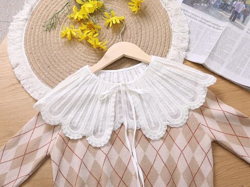 Elerevyo Detachable Fake Collar, Lace Embroidery Knit Little Shawl Mini Cape Choker False Peter Pan Collar for Blouse in Kuwait