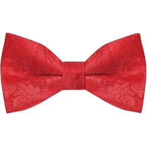 Alizeal Boys Adjustable Fashion Paisley Floral Strapped Pre-tied Kids Bow Tie