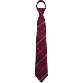 Boys Tie, Striped Zipper Tie for Boys Pre-tied Adjustable Neckties for School Uniforms Wedding Graduation