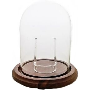 Hand Blown Pocket Watch Glass Cloche Display Dome with Real Walnut Wood Base