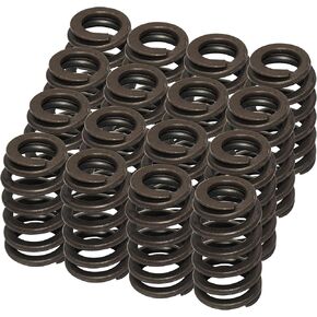 16PCS 1200 Series Engine Beehive Valve Springs Kit Replacement for PAC-1218 Compatible with GM LS-Series Engines 4.8 5.3 5.7 6.0 6.2 LS1 LS2 LS3 LS6 LQ4 LQ9 Car Trucks, 600"" Lift Rated