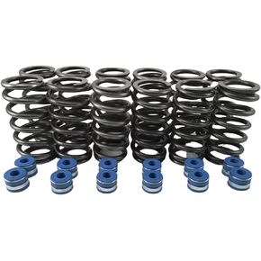 Fits Cummins 6BT 12V Dodge +60 lbs Valve Springs + Viton Seals - Set of 12 - NEW