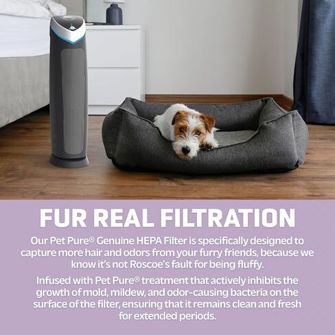 GermGuardian Air Purifier with Genuine HEPA 13 Pet Pure Filter, Removes 99.97% of Pollutants, Covers Large Rooms up to 915 Sq. ft. in 1 Hour, UV-C Light Helps Reduce Germs, 28", Black, AC5250PT in Saudi Arabia