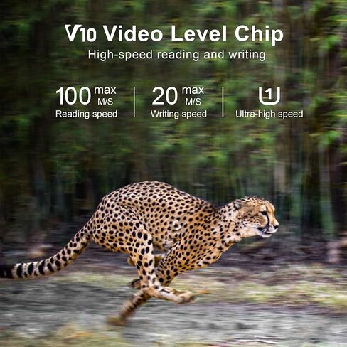 بطاقة ذاكرة Micro SD سعة 128 جيجابايت، بطاقة ذاكرة Micro SDXC UHS-I - 100 ميجابايت/ثانية، 667X، U3، Class10، فيديو عالي الدقة V30، A1، FAT32، بطاقة فلاش TF عالية السرعة P500 للكمبيوتر مع محول/كاميرا/هاتف/طائرة بدون طيار/لوحة أجهزة القياس الكاميرا/الكمبيوت in Kuwait