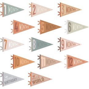 14 Pcs Baby Milestone Pennant Signs Monthly Milestone Banner Flags Pennant Triangle Banner Age Flag Signs for Boy Girl Newborn Birthday Party Decor(Assorted Colors)